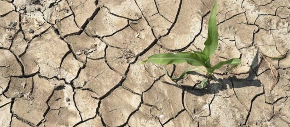 Η Μεσόγειος Μεταμορφώνεται