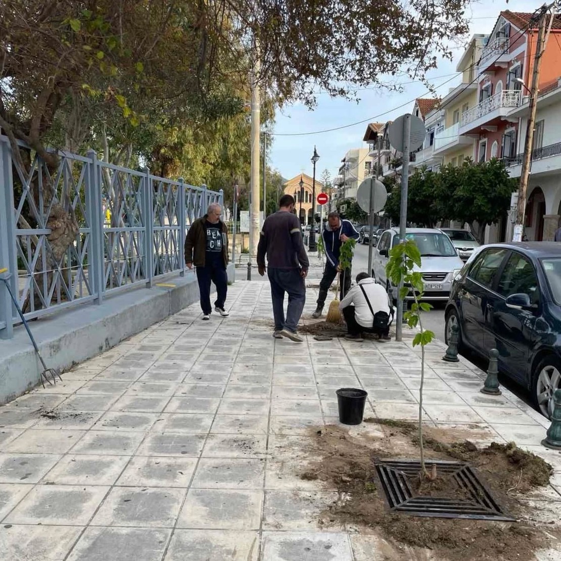 Δενδροφύτευση στο σχολείο του Άμμου